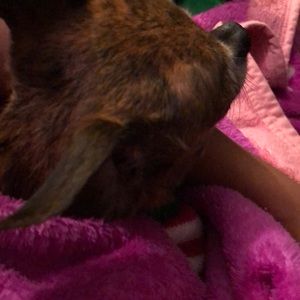 Meet your Posher, Blanca